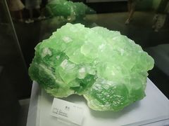 -湖南省地质博物馆