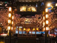 -桂满隴·站立的杭州(无锡八佰伴店)