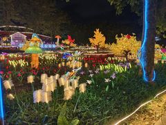 -光明小镇欢乐田园