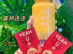 -野萃山·潮汕厚果汁(十亩地店)