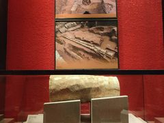 -南越王博物院(王宫展区)