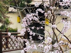 -金石唐风国际温泉会馆