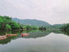 -深圳仙湖植物园