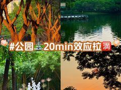 -晓港公园