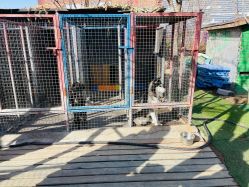 -萌宠亲子动物乐园(槐房万达店)