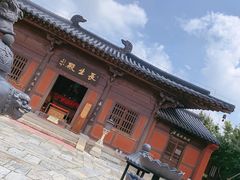 -广富林郊野公园