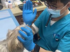 -美联众合动物医院·24h转诊中心