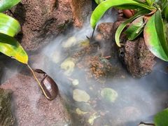 -云溪植物园