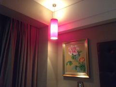 IMG_0466-金鼎香辣诱惑(宁康西路店)