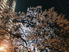 -红星桥(地铁站)