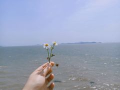 -东沙渔村
