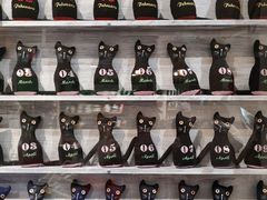 -猫咪博物馆(顶澳仔猫街店)