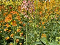 -中国天府农业博览园