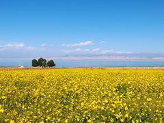 -青海湖国家重点风景名胜区