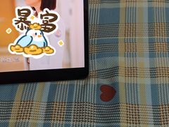 -朝阳公园游乐园