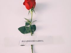 -龍歌自助小火锅(李沧顺和汇店)
