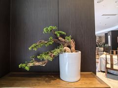 -浣花锦绣(杜甫草堂店)