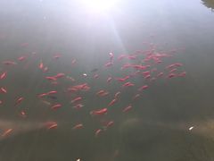 -香山公园-东宫门售票处