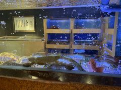 水产区-新荣记(建国门外大街店)