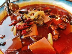 -蜀腾川·火锅鱼.烤鱼(新世界城店)