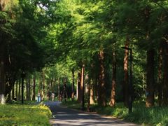 -西溪国家湿地公园