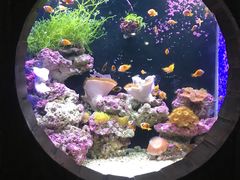 -杭州海底世界