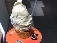 -野人先生现做冰淇淋(西安赛格店)