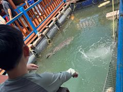 -蓝湾碧波·老字号·疍家非遗海上餐厅