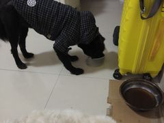 -仁华宠物医院(青羊店)