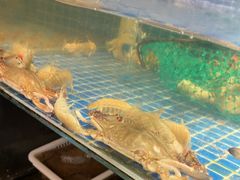 -小时候焗海鲜(鄞州万达店)