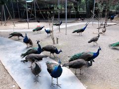 -水濂山森林公园