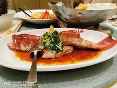 -南海渔村(珠江新城店)