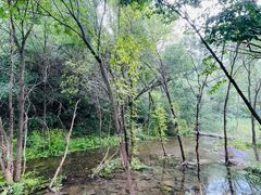 -玉渡山自然风景区