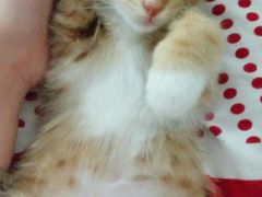 android_upload_pic-盛京一禾