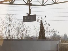 -衡阳东站