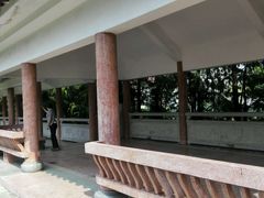 -名树园
