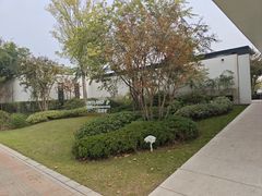 -窗外西餐厅(普罗理想国店)