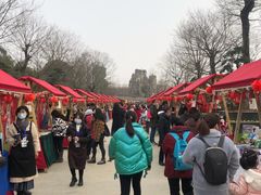 -秀丽东方