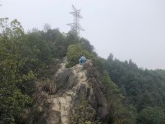 -南山植物园