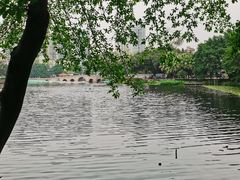 -荔湾湖公园