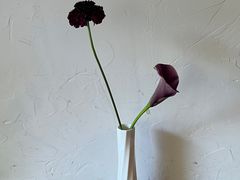 -竹子咖啡bamboo coffee
