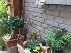 -桥岚·巷子鲜河豚鱼(专门店)