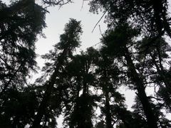 -措木及日景区