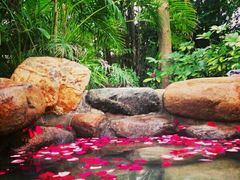 -厦门日月谷温泉渡假村