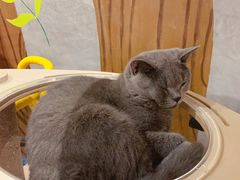 -么么咖啡(燕郊店)