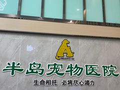 -半岛宠物医院24小时(科华中路店)