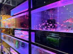 -双季花艺园艺市场(浦东店)