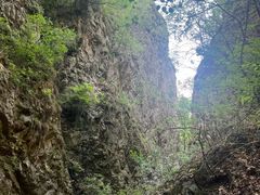 -雾灵西峰
