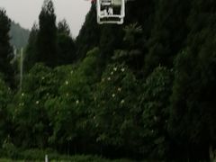 -武陵山森林公园