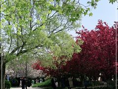 -元大都城垣遗址公园